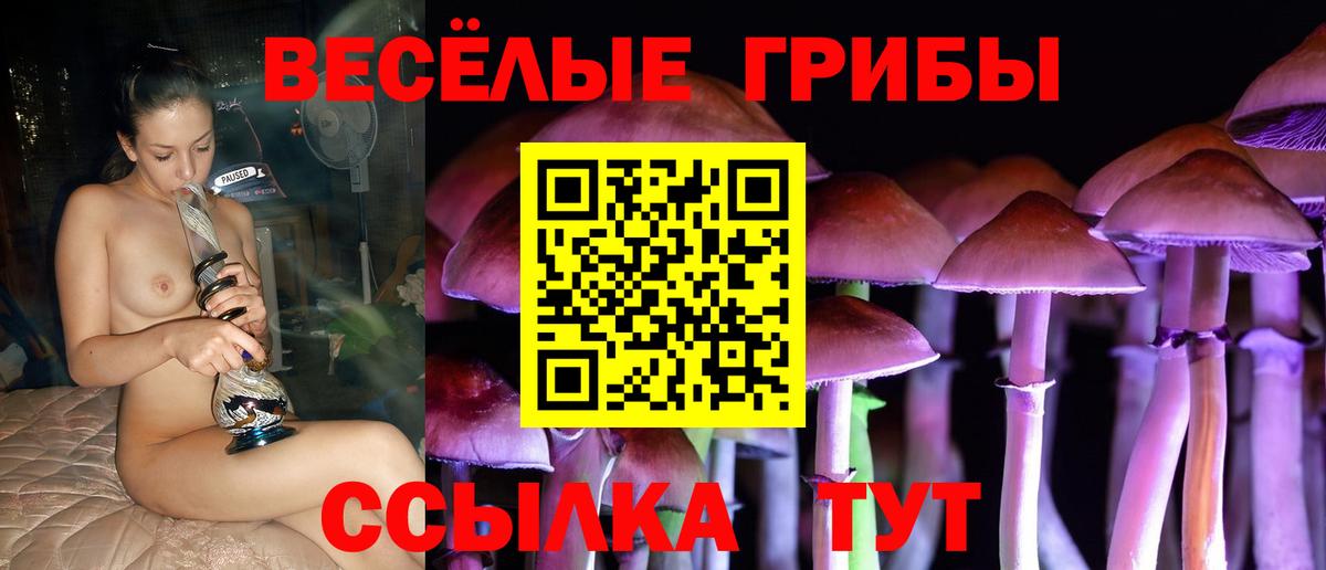 Галлюциногенные грибы Cubensis Тюмень